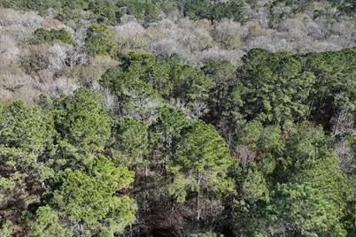 76 Wagon Pass, Huntsville, TX 77340 - Photo 15