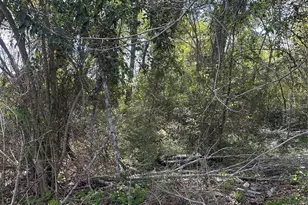 0 S 7th St, Conroe, TX 77301 - Photo 7