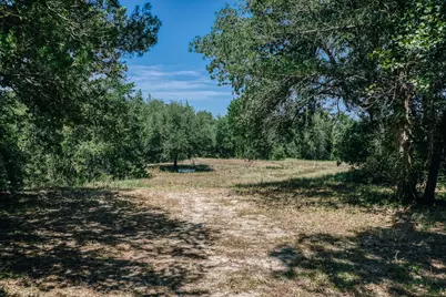 5003 Rocky Creek Manor, Burton, TX 77835 - Photo 3