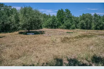 5003 Rocky Creek Manor, Burton, TX 77835 - Photo 13