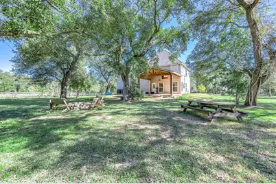 20610 Live Oak Drive, Damon, TX 77430 - Photo 33