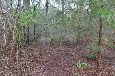 1035 Kawanui Drive, Bastrop, TX 78602 - Photo 11