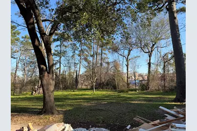 2611 Micliff Boulevard, Houston, TX 77068 - Photo 11