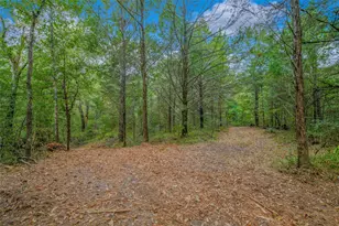 5891 Koppe Bridge Rd, College Station, TX 77845 - Photo 43