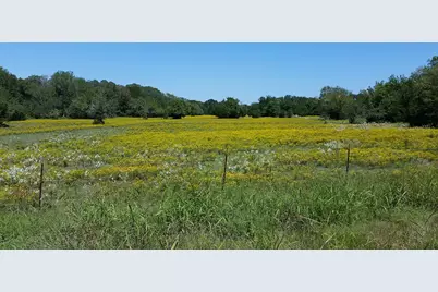901 N Falls Drive, New Ulm, TX 78950 - Photo 25