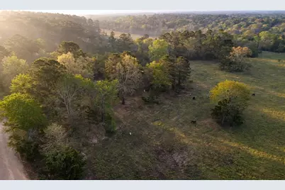 Tbd Denson Allen Road, Coldspring, TX 77331 - Photo 7