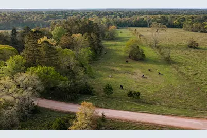Tbd Denson Allen Road, Coldspring, TX 77331 - Photo 5