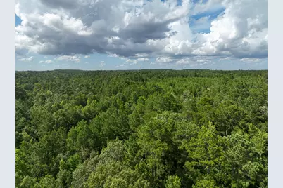 0 County Road 2065, Crockett, TX 75835 - Photo 19