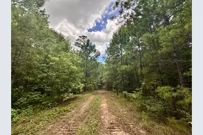 0 County Road 2065, Crockett, TX 75835 - Photo 23