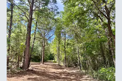 0 County Road 2065, Crockett, TX 75835 - Photo 5