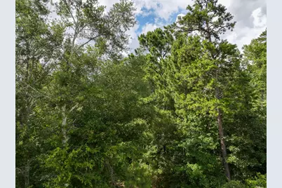 0 County Road 2065, Crockett, TX 75835 - Photo 17