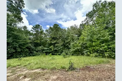 0 County Road 2065, Crockett, TX 75835 - Photo 11