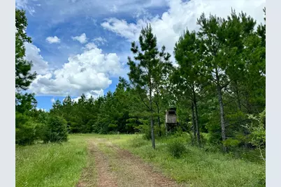 0 County Road 2065, Crockett, TX 75835 - Photo 21