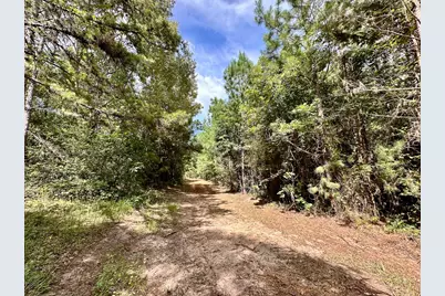 0 County Road 2065, Crockett, TX 75835 - Photo 3