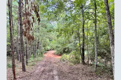 0 County Road 2065, Crockett, TX 75835 - Photo 7