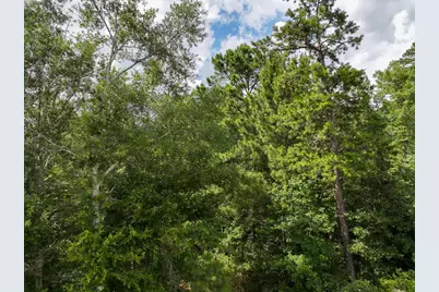 0 County Road 2065, Crockett, TX 75835 - Photo 15