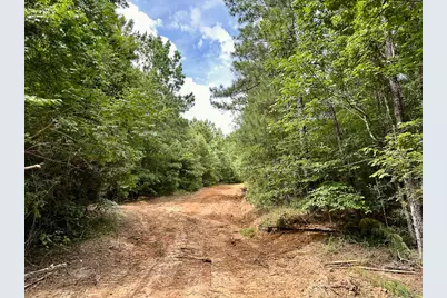 0 County Road 2065, Crockett, TX 75835 - Photo 9