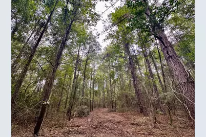 0 County Road 2065, Crockett, TX 75835 - Photo 25