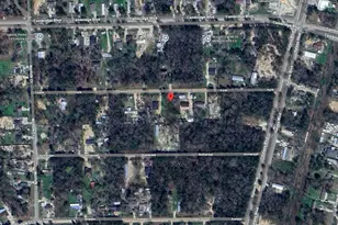 25688 York, New Caney, TX 77357 - Photo 7