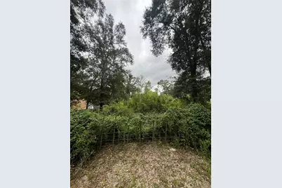 25688 York, New Caney, TX 77357 - Photo 5