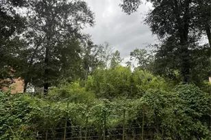 25688 York, New Caney, TX 77357 - Photo 5