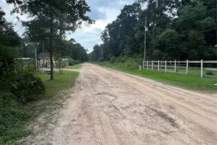 25688 York, New Caney, TX 77357 - Photo 1