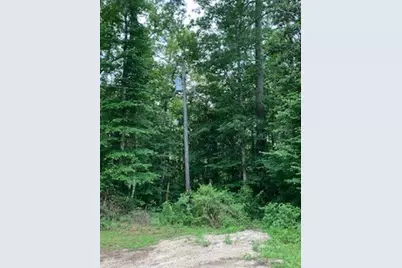 Tbd Sandy Creek Lane, Willis, TX 77378 - Photo 1