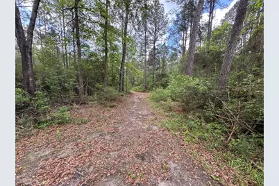 189 Sweet Magnolia Lane, Chester, TX 75936 - Photo 31