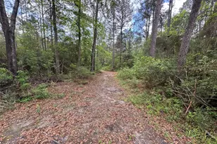 189 Sweet Magnolia Ln, Chester, TX 75936 - Photo 31