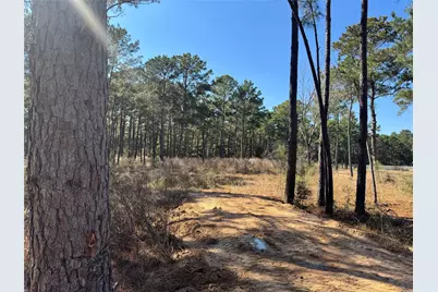 0 Grant Road, Cypress, TX 77429 - Photo 5