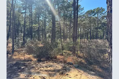 0 Grant Road, Cypress, TX 77429 - Photo 3