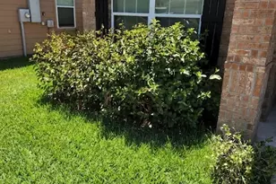 2005 Lost Pine Ct, Conroe, TX 77304 - Photo 3
