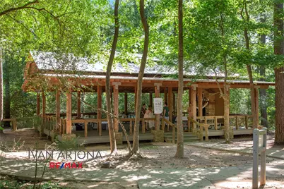 222 Hawkhurst, The Woodlands, TX 77354 - Photo 33