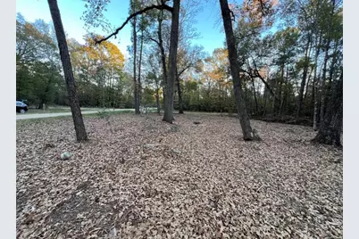 0 Mossy Drive, Livingston, TX 77351 - Photo 5