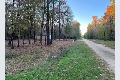 0 Mossy Drive, Livingston, TX 77351 - Photo 3