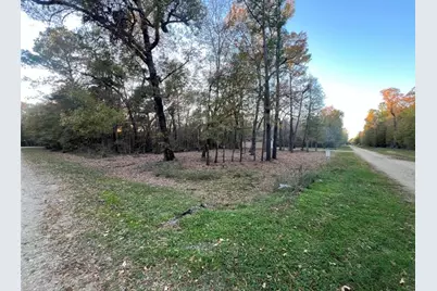 0 Mossy Drive, Livingston, TX 77351 - Photo 1