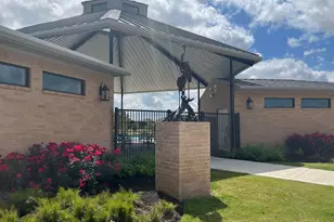 24743 Lilypad Lk Rd, Katy, TX 77493 - Photo 9