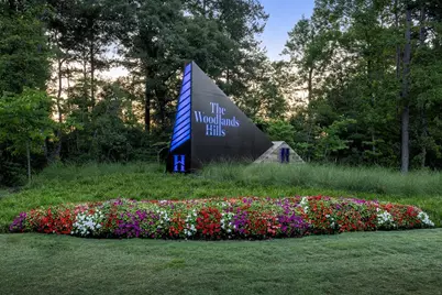 252 Nancy Lou Lane, Willis, TX 77318 - Photo 47