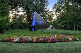 252 Nancy Lou Ln, Willis, TX 77318 - Photo 47