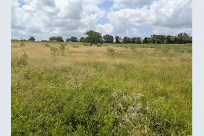 0011 County Road 115, Bedias, TX 77831 - Photo 11