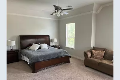 43 Daffodil Meadow Place, Tomball, TX 77375 - Photo 11