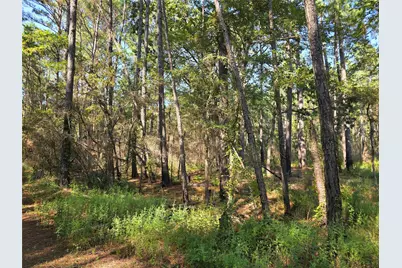 0 Hackberry Drive, Plantersville, TX 77363 - Photo 3