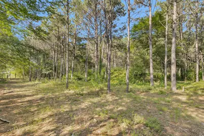 6493 Planters Row Lane, Plantersville, TX 77363 - Photo 13