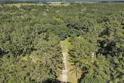 6493 Planters Row Lane, Plantersville, TX 77363 - Photo 25