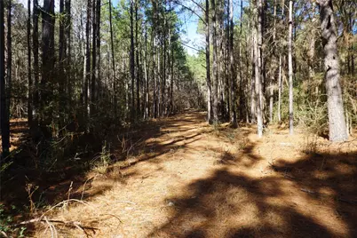 0 County Road 352, Palestine, TX 75803 - Photo 9