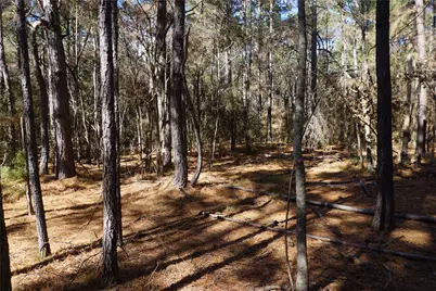 0 County Road 352, Palestine, TX 75803 - Photo 3