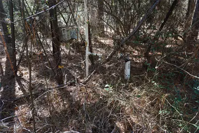 0 County Road 352, Palestine, TX 75803 - Photo 5