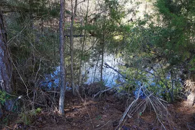 0 County Road 352, Palestine, TX 75803 - Photo 11
