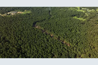 0000 Evergreen Lot 2 Fm 362 Road, Waller, TX 77484 - Photo 13