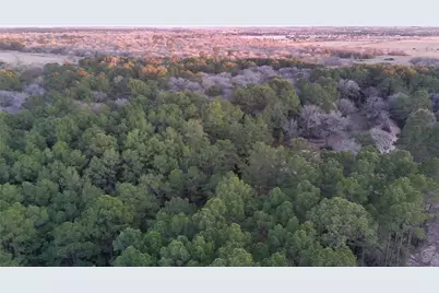 0000 Evergreen Lot 2 Fm 362 Road, Waller, TX 77484 - Photo 21